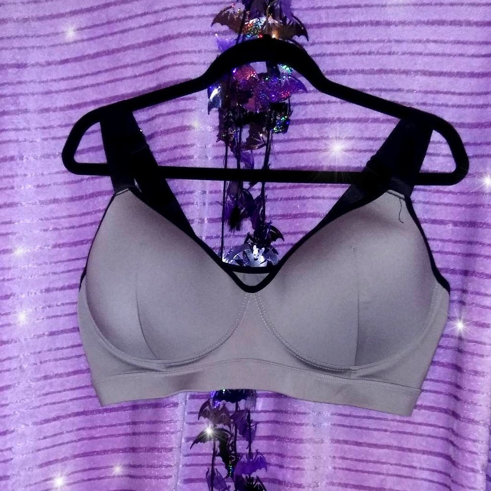 Silver colored Bra with Adjustable Straps NWOT